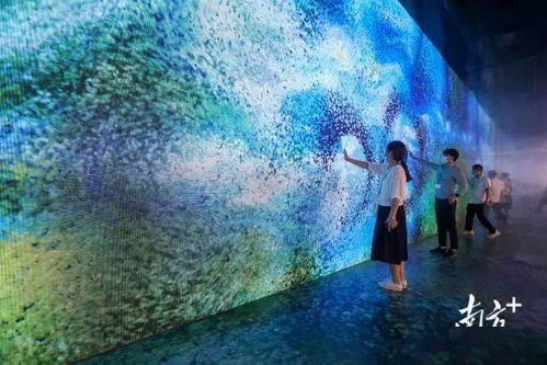 7个 新 纵览2021文博会