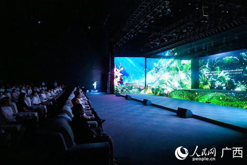 梦幻灵境 ai展演中心正式落地广西